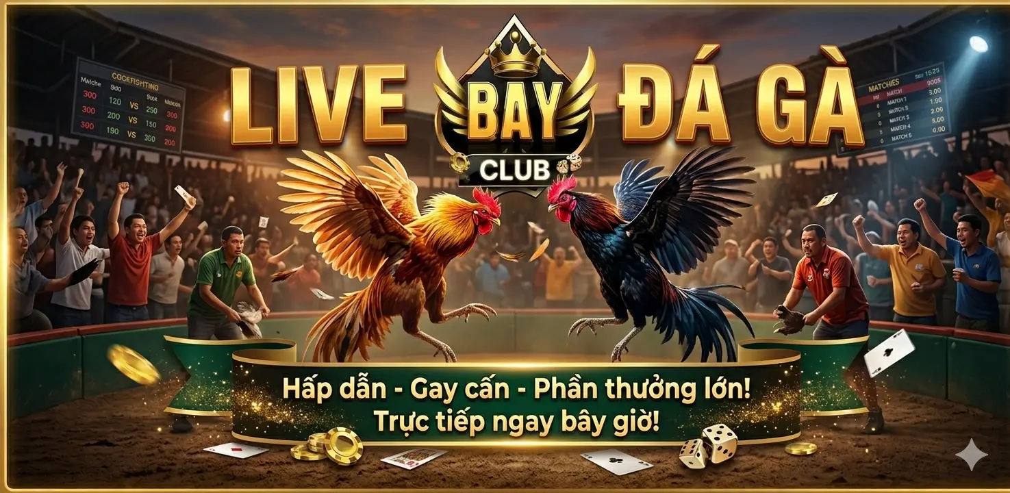 Đá gà Bayclub - 3 thể loại Truyền thống, Cựa Dao, Gà Tre